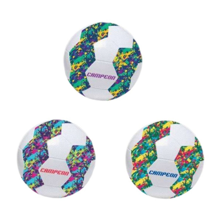 V6H1B5FF2C87441934A5F215B884E1F6E3AR6730761P1