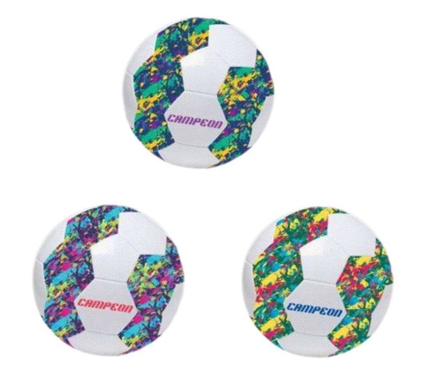 V6H1B5FF2C87441934A5F215B884E1F6E3AR6730761P1