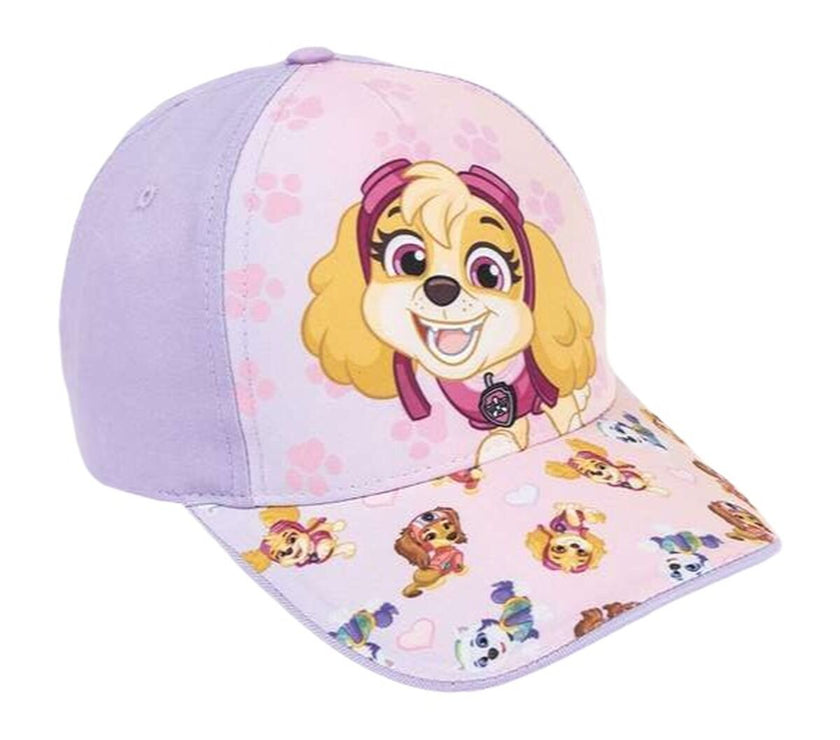 V4H6C2762A96DC073CDA9FB27CE6476F69BR5531480P1