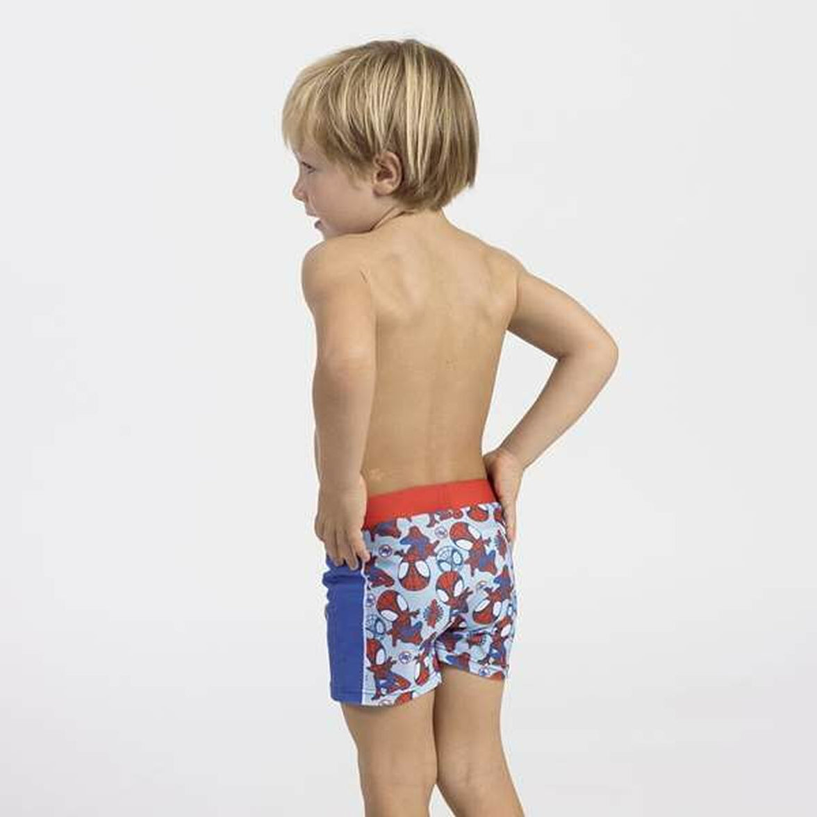 V6HDAEE79D5CA6AD83B123954D53B05B9EER6878510P4