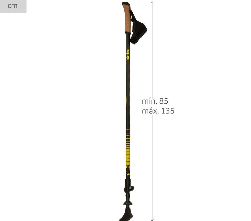 V6H8F124A2359474BF050FA3B5565941287R5423216P5