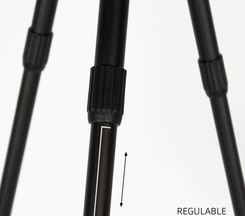 V4H1D0DBBEAE71A533ECE2E1F274C2C46A8R5649350P4