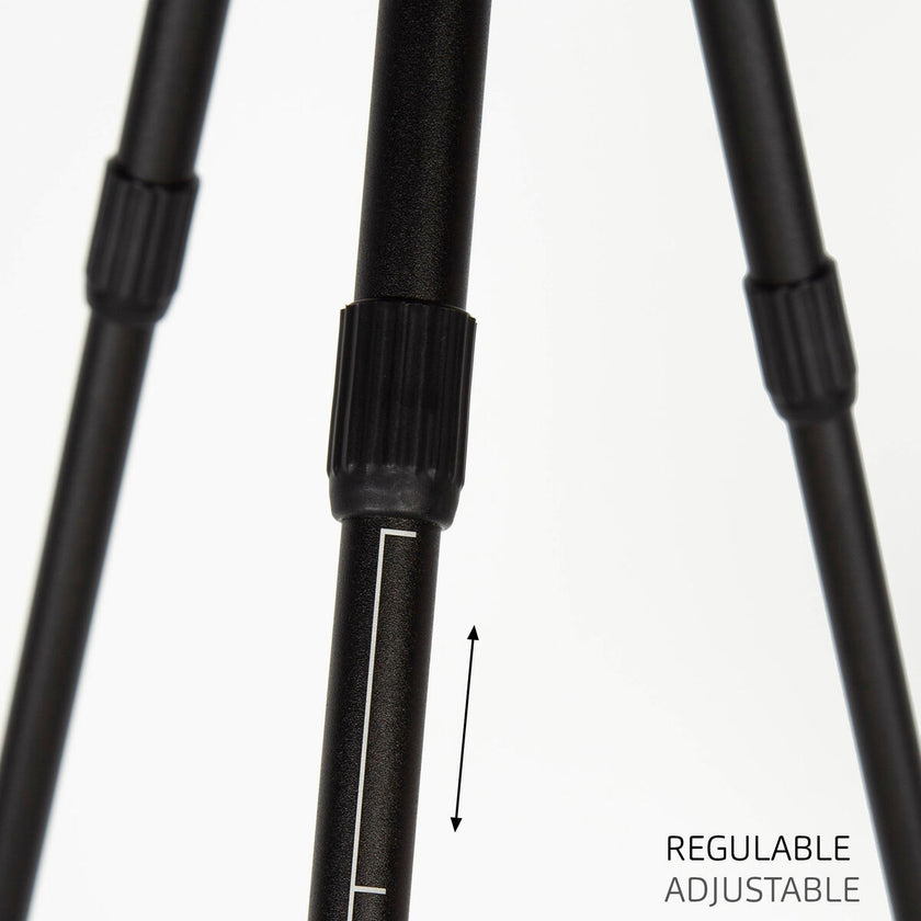 V4H1D0DBBEAE71A533ECE2E1F274C2C46A8R5649350P4