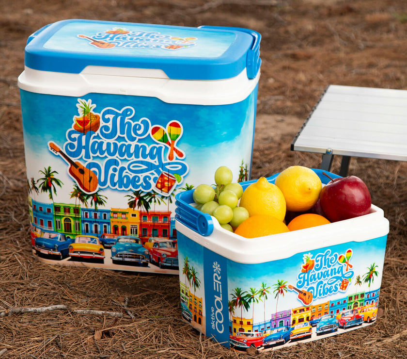 V4H0093C66029159ECF240C4E520F195FC3R5648881P3